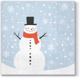 Schneemann mit Hut & Schal - Snowman with hat & scarf - Bonhomme de neige avec chapeau et écharpe