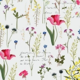 feine Gräser & Wiesenblumen - fine grasses & meadow flowers - fines herbes et fleurs de prairie