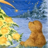 kleiner niedlicher Bär bestaunt einen Weihnachtsbaum - little cute bear admires a Christmas tree - petit ours mignon admire un sapin de Noël