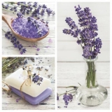 Lavendel in verschiedenen Formen - Lavender in different forms - Lavande sous différentes formes