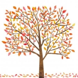 bunte herbstliche Blätter am Baum - colorful autumnal leaves on the tree - feuilles d automne colorées sur l arbre
