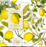 Michel Design - Zitronen, Zitronenblüten & 1 Zitronenbriefmarke - Lemons, lemon blossoms & 1 lemon stamp - Citrons, fleurs de citron et 1 timbre de citron