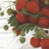 frische Erdbeeren - fresh strawberries - fraises fraîches