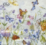 Wiesenblumen & Schmetterlinge - Meadow Flowers & Butterflies - Fleurs et papillons des prés