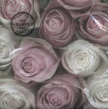schöne Rosen - beautiful roses - belles roses