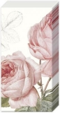 Rosen - roses