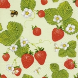 Erdbeerfeld - strawberry field - champ de fraises