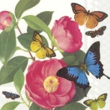 Schmetterlinge besuchen japanische Rosen - Butterflies visit Japanese roses - Les papillons visitent les roses japonaises