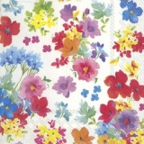 viele bunte Blumen - many colorful flowers - beaucoup de fleurs colorées