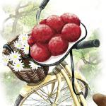 schöner Hut, Fahrrad mit Korb & Blumen - beautiful hat, bicycle with basket & flowers - beau chapeau, vélo avec panier et fleurs