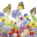 Schmetterlinge besuchen eine schöne Blumenwiese - Butterflies visit a beautiful flower meadow - Les papillons visitent une belle prairie de fleurs