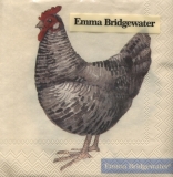 Bridgewater - Hennen - hens - poules