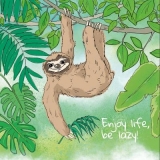 Faultier hängt ab - Sloth hangs - La paresse se bloque