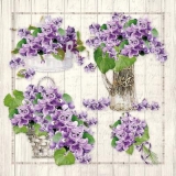lila Veilchensträusse - purple violet bouquets - bouquets violets violets