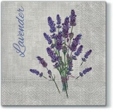 Lavendel - lavender - lavande
