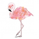 Flamingo - flamant