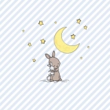Gute Nacht kleines Häschen - Good night little bunny - Bonne nuit petit lapin