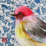 hübscher Vogel - pretty bird - joli oiseau