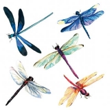 Libellen - dragonflies - libellules