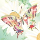 wunderschöner Schmetterling - beautiful butterfly - beau papillon
