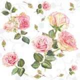 schöne Rosen -  beautiful roses - belles roses