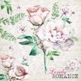 Rosen der Romantik - Roses of the romance - Roses de la romance