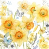 Schmetterlinge & Narzissen - Butterflies & Daffodils - Papillons & Jonquilles