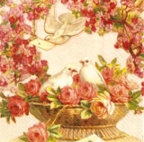 Rosen & Tauben - Roses & doves