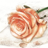 schöne Rose auf geschriebenen Briefpapier - beautiful rose on written note paper - belle rose sur papier à lettres
