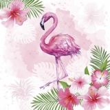 schöner Flamingo & Hibiskusblüten - beautiful flamingo & hibiscus flowers - belles fleurs de flamingo et d hibiscus
