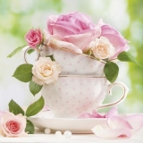 zarte Rosen & Tassen - delicate roses & cups - roses délicates et tasses