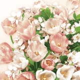 Rosa Tulpen & Kirschblüte - Pink tulips & cherry blossom - Tulipes roses et fleur de cerisier