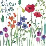 schöne Wiesenblumen - beautiful meadow flowers - fleurs de belle prairie