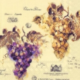 helle & blaue Trauben - bright & blue grapes - raisins brillants et bleus