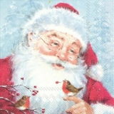 Weihnachtsmann & Rotkehlchen - Santa Claus & Robins - Père Noël et Robins