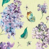 Schmetterling besucht Flieder - Butterfly visits lilac - Le papillon visite le lilas