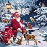 viele Tiere besuchen den Weihnachtsmann - many animals visit Santa Claus - de nombreux animaux visitent le père noël