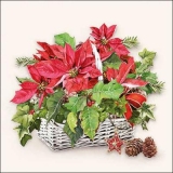 Weihnachtstern & Ilex im Weidekorb - Poinsettia & Ilex in wicker basket - Poinsettia & Ilex dans un panier en osier