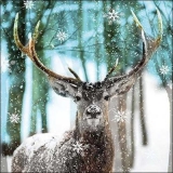 ein stolzer Hirsch im Winterwald - a proud stag in the winter forest - un cerf fier dans la forêt d hiver