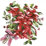 Weihnachtsstern & Ilex - Poinsettia & Ilex