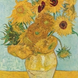 Sonnenblume in einer Vase - Sunflower in a vase - Tournesol dans un vase