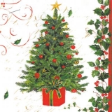 Weihnachtsbaum & Stechpalme - Christmas tree & Holly - Arbre de noel et houx