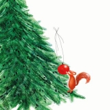 Eichhörnchen schmückt Tannenbaum - Squirrel decorates fir-tree - Un écureuil décore un sapin