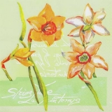 Osterglocke, Narzisse - Easter bell, daffodil - Cloche de Pâques, jonquille