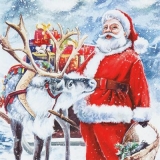 Weihnachtsmann & Rentier - Santa Claus & reindeer - Père Noël et renne