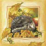 Igel, Eicheln & Apfel im Laub - Hedgehog, acorns & apple in the foliage - Hérisson, glands & pomme dans le feuillage