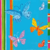 Schmetterlinge - Papillions