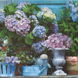 Wunderschöne Hortensien - Hydrangea