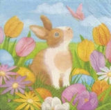 Hase mit Schmetterlung, Ostereiern & Tulpen - Bunny with butterfly, easter eggs & tulips - Lièvre avec le Schmetterlung, les oeufs de Pâques & les tulipes