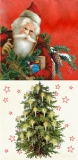 Weihnachtsmann & Raphael Engel - Angel & Santas Night